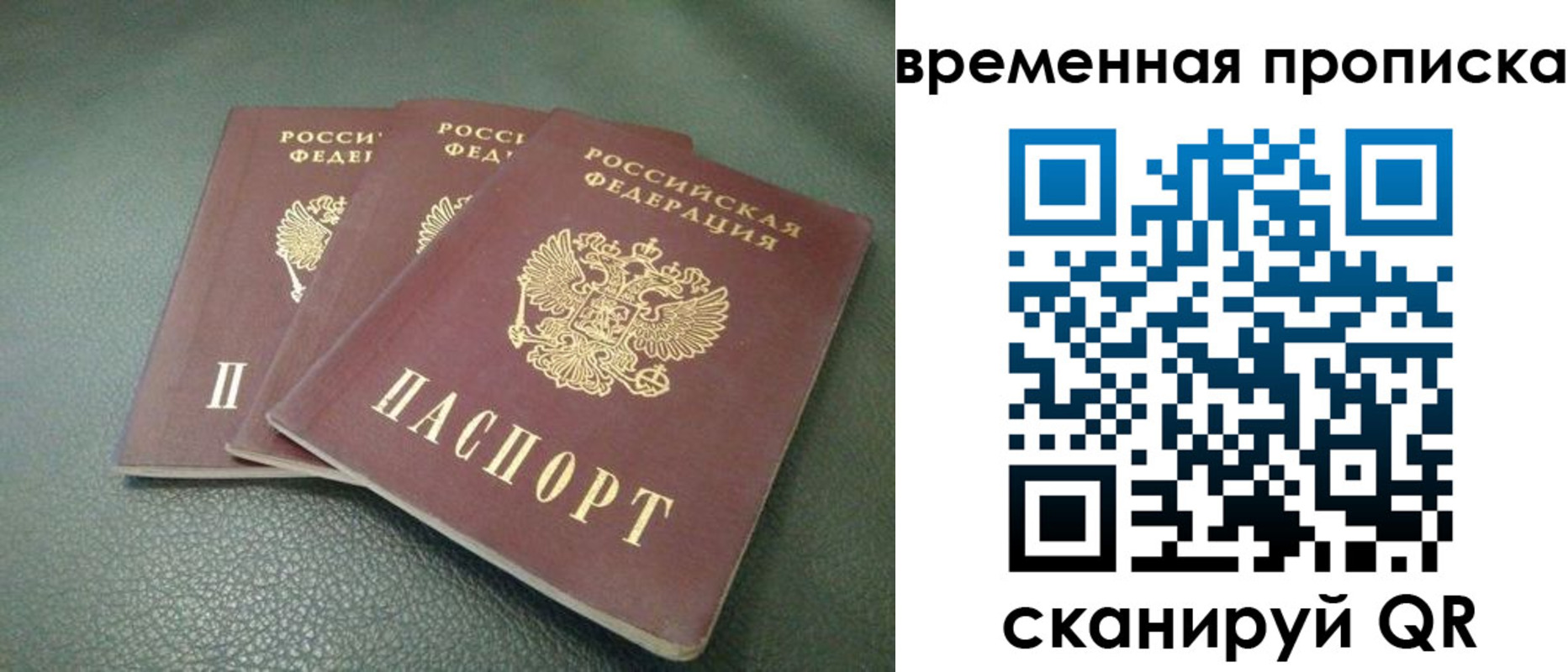 прописка гарантия в Киришах